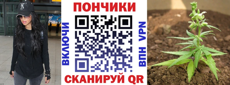 Марихуана Amnesia купить Отрадное